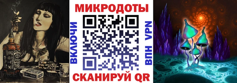как найти закладки Каменск-Шахтинский Псилоцибиновые грибы Psilocybine cubensis