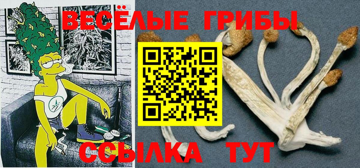 Галлюциногенные грибы ЛСД Каменск-Шахтинский